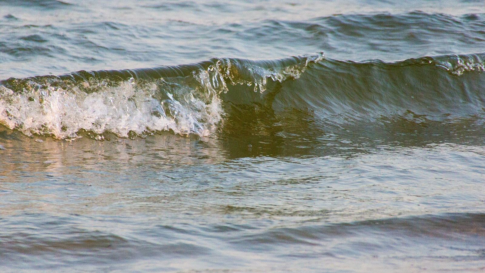 The Oak Island beach and coastline