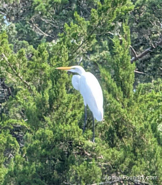 Salt marsh on Oak Island