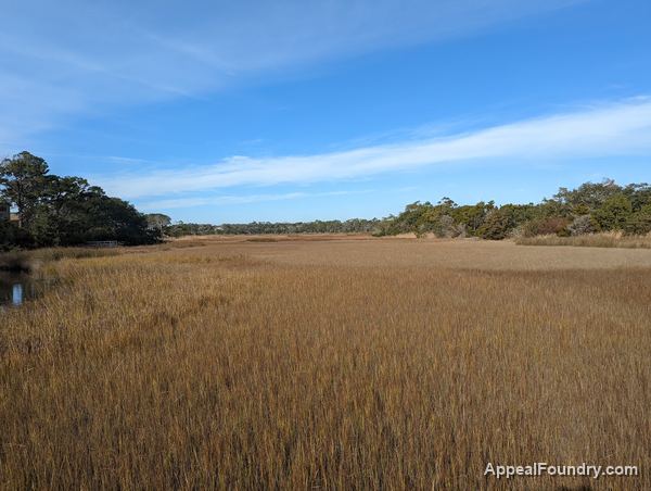Salt marsh on Oak Island