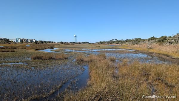 Salt marsh on Oak Island