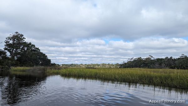 Salt marsh on Oak Island