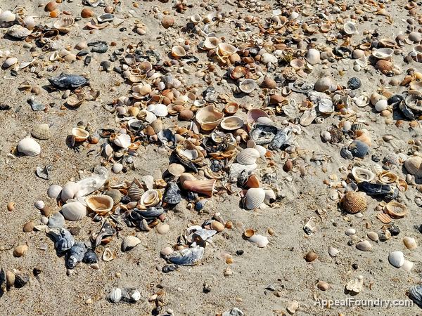 Oak Island beach