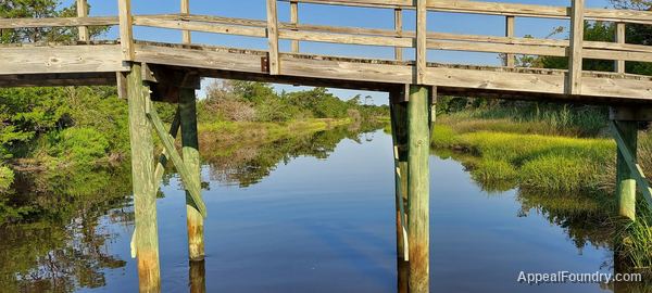 Davis Canal on Oak Island from a kayak