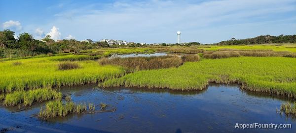 Salt marsh on Oak Island