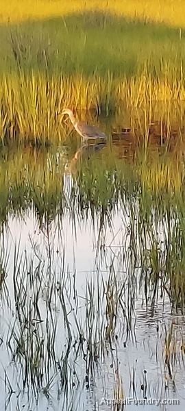 Salt marsh on Oak Island