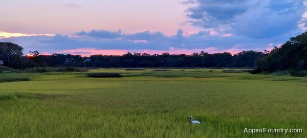 Salt marsh on Oak Island