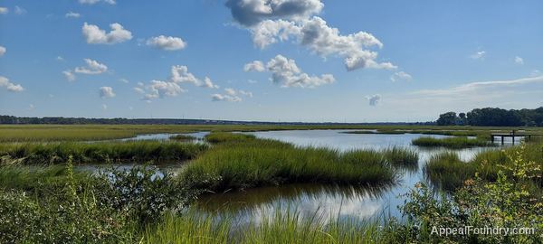 Salt marsh on Oak Island