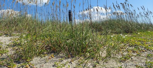 Oak Island beach